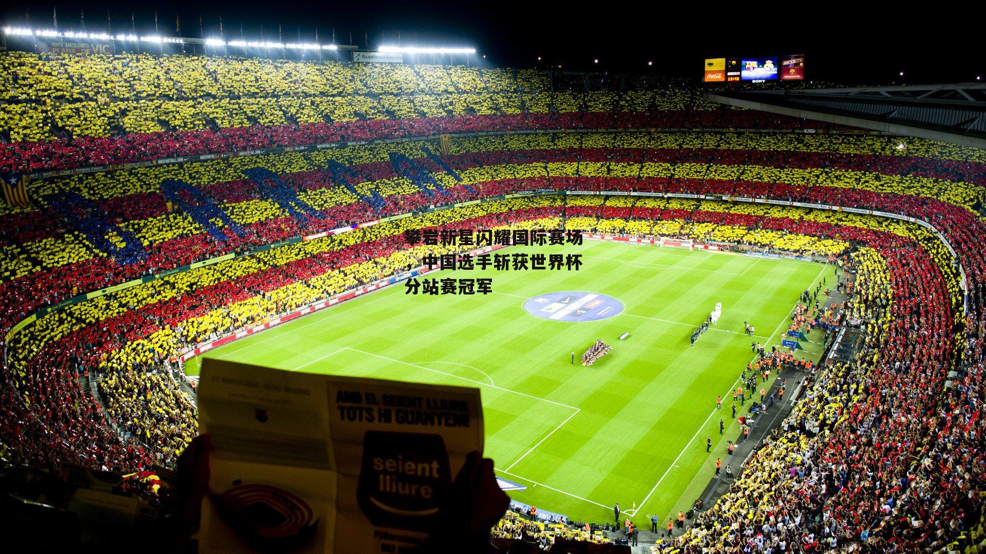 攀岩新星闪耀国际赛场,中国选手斩获世界杯分站赛冠军