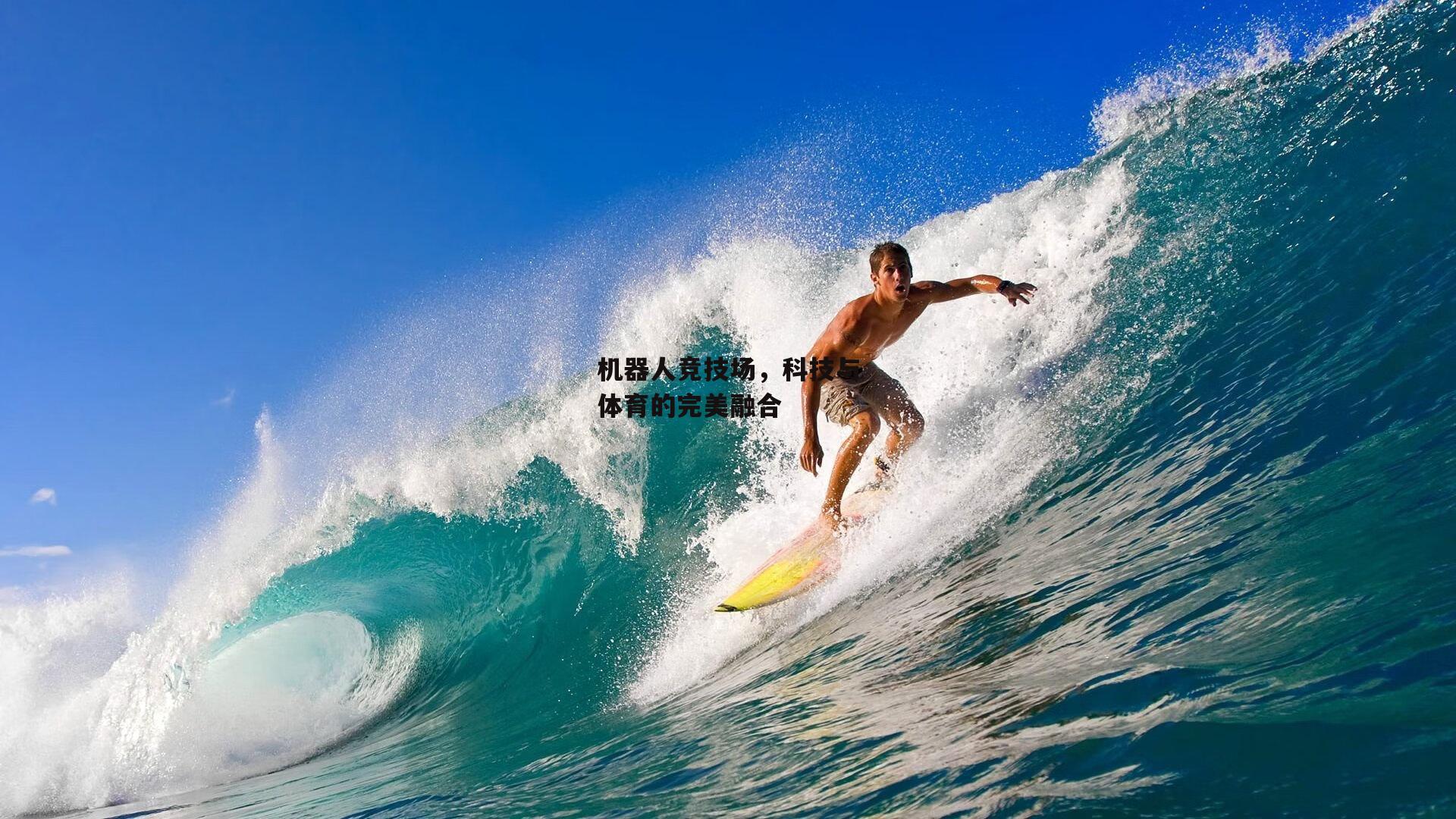 机器人竞技场,科技与体育的完美融合